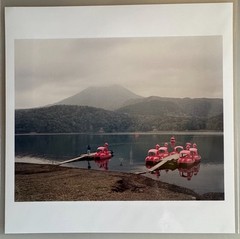SIGNED Mark Power Photo – Magnum Square Print 6×6 Kirishima National Park 2000