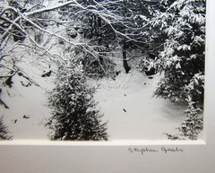 Stephen Gersh Gelatin Silver Print Photograph Trees in Snow Listed Photographer