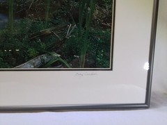 «Indian Creek» Framed Landscape Photograph by Gary Carlson