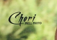 Cheri Prill Horse and Rider Framed Photography 11.5″ x 9″