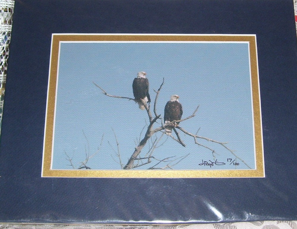 PHOTO ART BALD EAGLES COAL CREEK AURORA CO 5X7 MATTED TO 8X10 SIGNED #’D 17/100