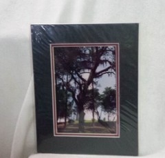 Amelia Island Light Fine Art Lighthouse Photography 5”x7” Matted John A Kuhn FL
