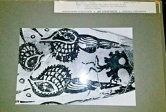 11 Total Photograph Collection from Art Department at Indiana University IU