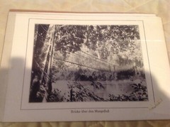 Vtg Antique Africa Photographs Signed J K Nature Waterfall Tree Bridge Swahili 7