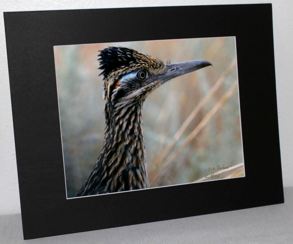 Roadrunner Wildlife Photo 8″ x 10″ in 11″ x 14″ Black Matte Signed by Kim Barry