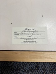 18.5 in x 23 in Deer Photo Framed
