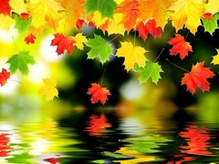 Digital Picture Image Photo Pic PNG JPEG Mobile Wallpaper