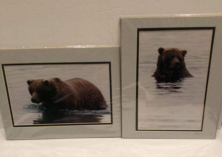 Lot Of 2 11X14” Matted Grizzly Bear Photos By Famous Photographer Wendell Welch