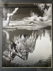 KARL BONFERT handprinted and signed photograph «Reflection Pool” Yosemite NP