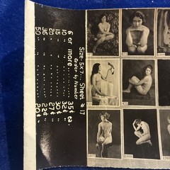 Shaw Boston Original sales guide nude poses boudoir andre de dienes Flying
