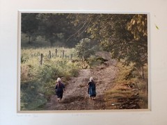 Lot Of 2 Bill Coleman Signed Amish No 22 & 251 Matted Photographs