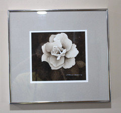 Vtg Gorgeous B&W Rose Dbl Matted Print Signed & Dated 13×14 Framed