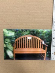 3D Vintage Lithograph Photo