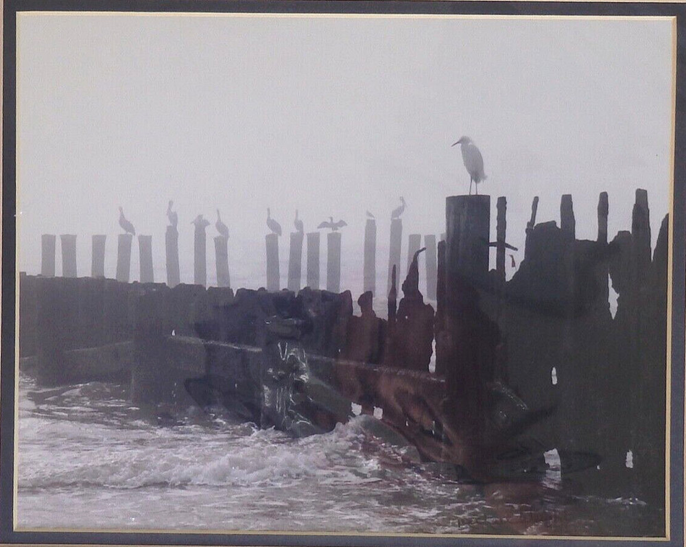 Small Black & White Photo Signed, Pelicans, Egret, Birds on Pier Landscape NOS
