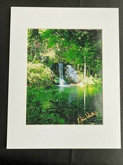 11 X 14 Photo in matte – signed by photographer Marie Whitton- BAHAMAS