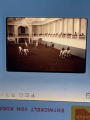 Lot Of 23 1983 Vienna Austria Spanish Riding School Amateur 35mm Color Slides