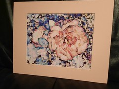 Matted Photograph: Rose Whispers