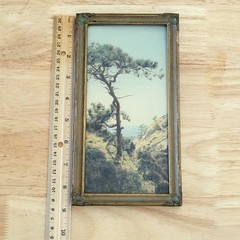 FREDERICK W. MARTIN Hand-Tinted Hand-Color Photo Torrey Pines 8.75″ x 4.75″ VGC