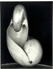 Edward Weston (1886-1953) Art Announcement Card 1995 PORTFOLIOS OF WITKIN-BERLEY