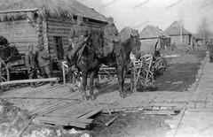 Negative-Tarutino-Kaluga-Russia-Inf.-Reg.253-Quartier-Wehrmacht-Horse-WW2-370
