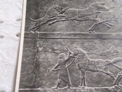 VTG RPPC REAL PICTURE ASHUR-BANI-PAL, KING OF ASSYRIA RARE MUSEUM ART POST CARD
