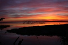 Sunrise or Sunset Photo, Pick One Image – Various Sizes