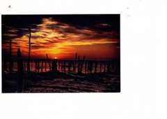photo art sunrise manasquan reservoir new jersey sun perch