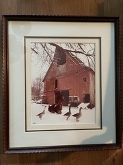 Signed Lee Mann The Barn Yard Framed Photo Print Skagit Valley WA Red Barn Geese