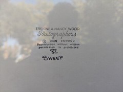 (New-Sealed & Matted) ’84 Erskine Wood Hand Signed «Preaching to the Flock»