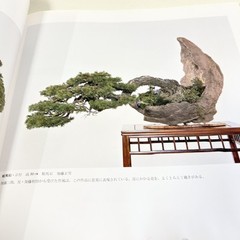 Nihon Bonsai Sakufu Ten 5th 1980 potted plants Japanese tradition art Photo Book