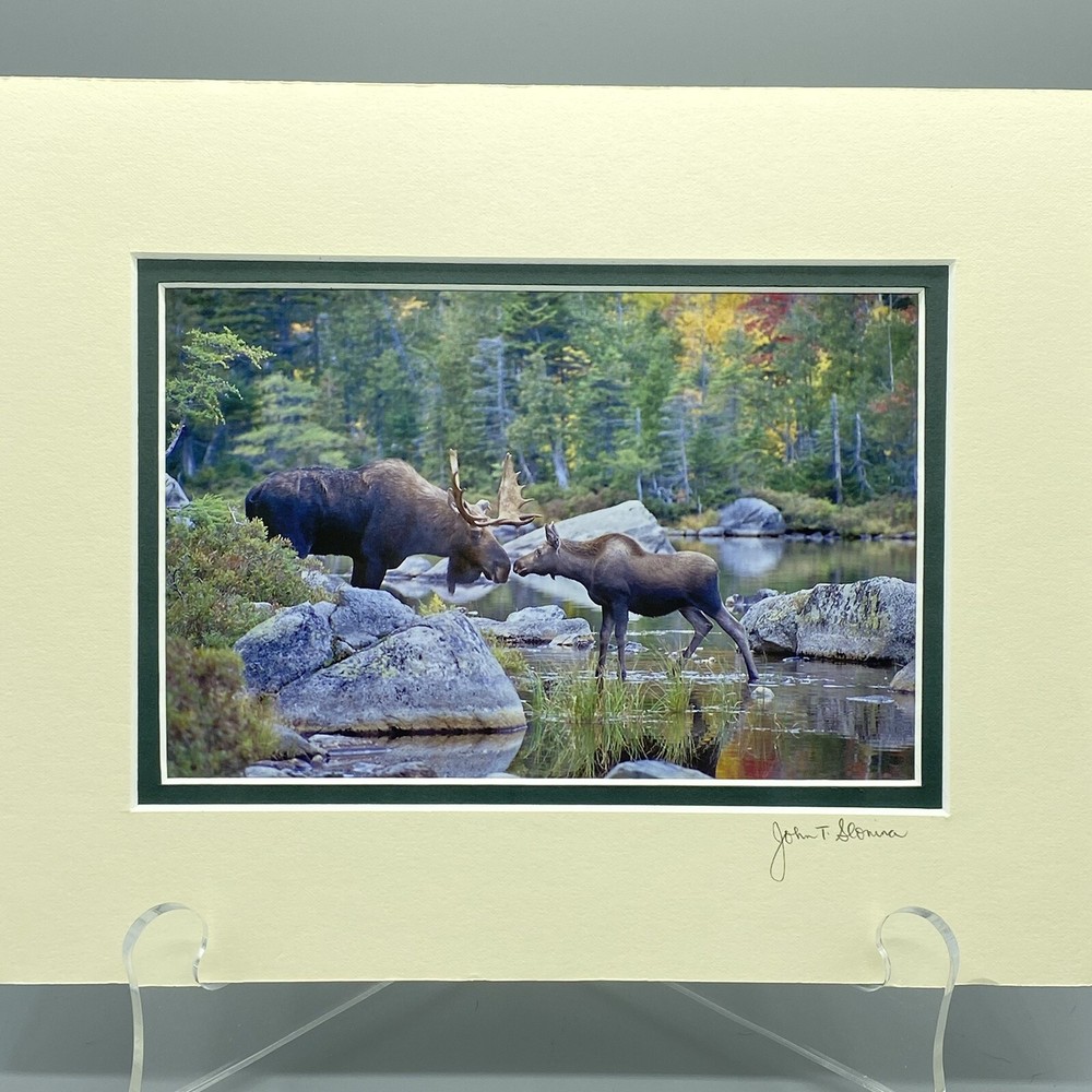 Fine Art Photography Print John T Slonina Matted 8×10 Moose River Fall Country
