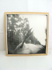 Original Handmade Art Photograph 11″x11″ B&W ‘Oh Deer’