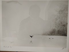 Signed Limited Edition Art Print By Cory James Titled «Through The Fog» Framed.