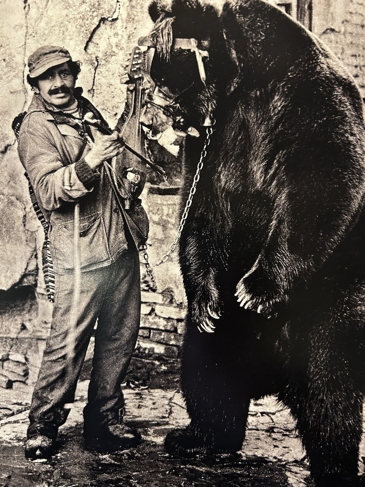 Jacko Vassilev-Silver Gel Print-Award Winning Photographer-«Dancing Bear» SIGNED