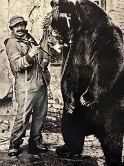 Jacko Vassilev-Silver Gel Print-Award Winning Photographer-«Dancing Bear» SIGNED