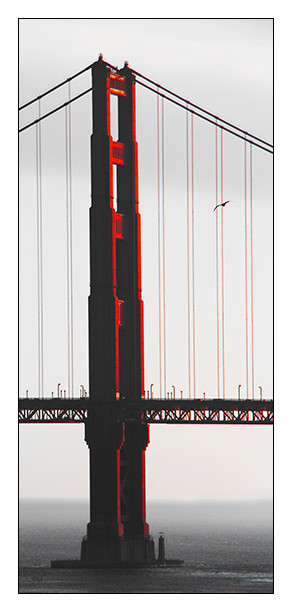 Golden Gate Bridge Sunset With Bird 5″x12″ Fine Art Print, Pacific San Francisco