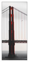 Golden Gate Bridge Sunset With Bird 5″x12″ Fine Art Print, Pacific San Francisco