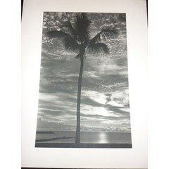 Vintage G. Mestek Signed Photo Art Print Palm Tree Sunset Silhouette Gallery