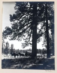 Bert Lynch Signed 10×13 1930s Western Movie Still Photograph on 16×20 Matte