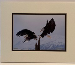 Richard Jackson Color Photo Changing Of The Guard, AK Limited Ed 329/500 Signed