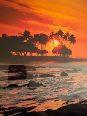 Kona by Peter Lik Fine Arts Koa Wood Frame Mint Condition Big Island of Hawaii