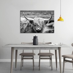 SEVEN WALL ARTS Highland Cow Photography Wildlife Portrait Picture Black and …