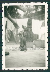 Photo woman playing with dog photo PRETTY WOMAN w DOG