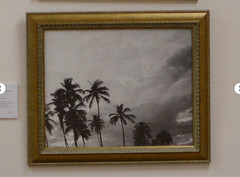 Tropicoco Palmas, Cuba, dyptych 16 x 20in Left/Right art photos, Mel Gonz, 2017