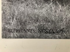 GEORGE RODGER,’ELEPHANTS, KENYA,1954′ AUTHENTIC 1990 ART PHOTO PRINT