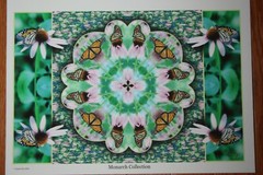 Monarch Collection Butterfly Collage Photo signed & numbered Print 9 1/2″x13″