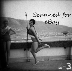 11 NEGATIVES LEGGY MISS UNIVERSE BEAUTY PAGEANT CONTESTANTS 1961 – MIAMI GLAMOUR