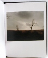 TODD HIDO: Cracked Trees 2009 SIGNED Photo w/ Ltd Ed. One Picture Book #59 *NEW*