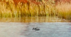 Mangelsen Photo Print: Indian Summer-Tundra Swans in Denali National Park Alaska