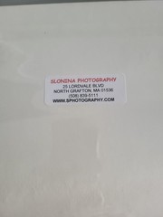 Photography Print By John T Slonina Matted 8×10 Winter Sunrise Through The Trees